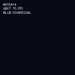 #070A14 - Blue Charcoal Color Image